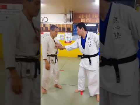 塩田剛三先生が坂東英二を崩した技法とは