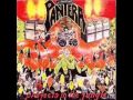 Pantera in Over my Head 