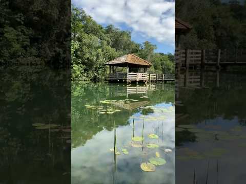 Conheça a LAGOA AZUL em São Manoel do Paraná #trilha #travel #lagoaazul #natureza #saomanoeldoparana