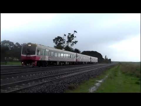 Vline Sprinter in doonybrook