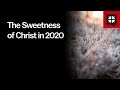 The Sweetness of Christ in 2020