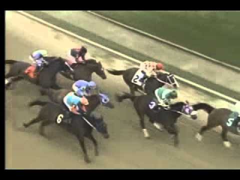 Pimlico 3-31-2012 Race 3