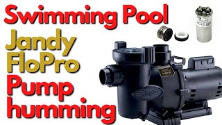 Swimming Pool Jandy FloPro Pool Pump Humming [ EASY TO FOLLOW VIDEO ]