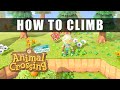 Animal Crossing New Horizons how to climb up the high cliff - How to get the ladder