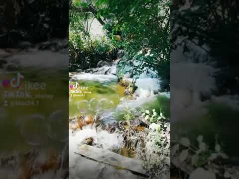 27 октября 2021 г.