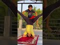 Indian Hot Girls Stretches Yoga Fitness Workout