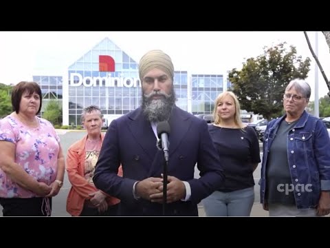 NDP Leader Jagmeet Singh talks grocery prices in N.L.– August 1, 2023