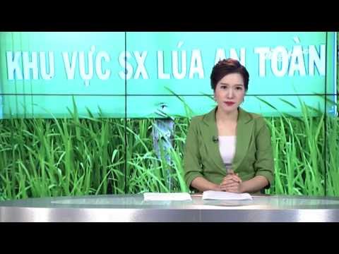 Thực phẩm gạo sạch cho người tiêu dùng