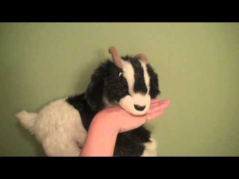 Phonological Segmentation: Words Into Syllables Part 2