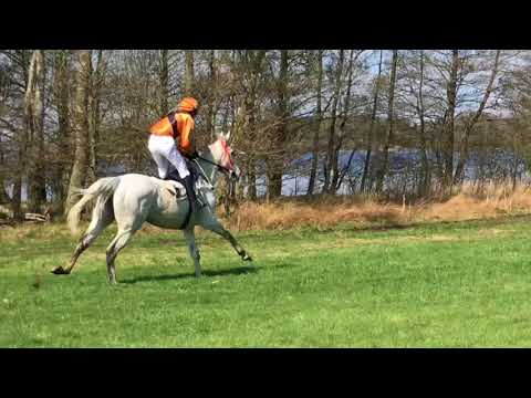 Blommeröd 28 april 2018