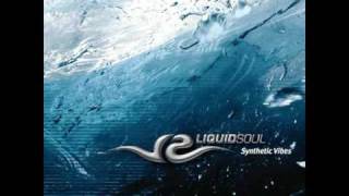 Liquid Soul - The Source