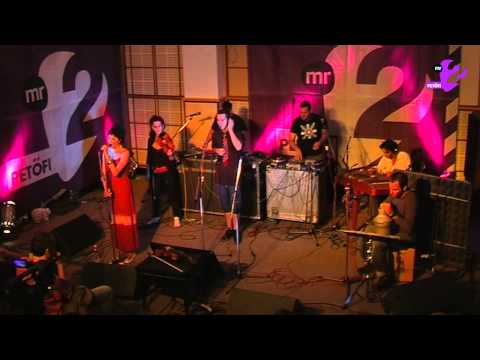 MR2 Akusztik Analog Cuvee - Tulipán