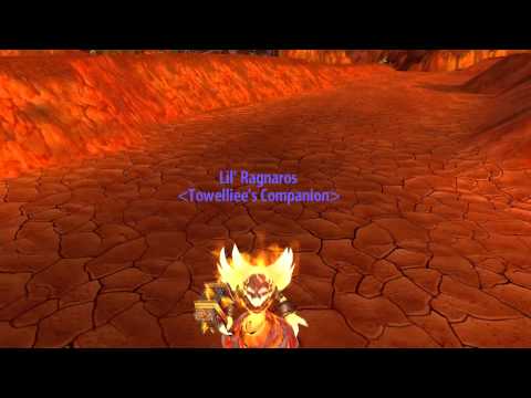 ▶ World of Warcraft - Lil' Ragnaros (and a basic campfire!) - TGN.TV