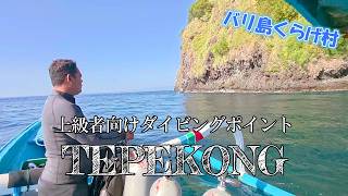 バリ島上級者向けダイビングポイント「TEPEKONG」