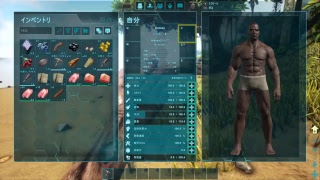 ARK やってみる