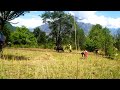 Dharme Family Village Farming Traditional Lifestyle In The Village In Nepal Old Way Of Farming