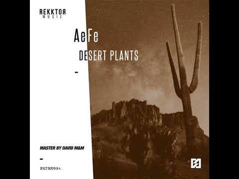AeFe - Gossypium [Rekktor Music]