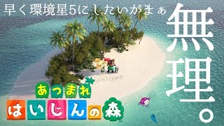 【🔴たぬきが相変わらず悪魔】環境５を目指す【あつ森】