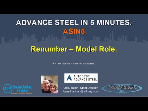 ADVANCE STEEL IN 5 -  Renumbering(Model Role)