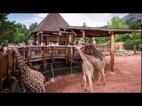 Manipuri Song “Naba Volcano’s Lamlanbi” - Cover By Barun Okram