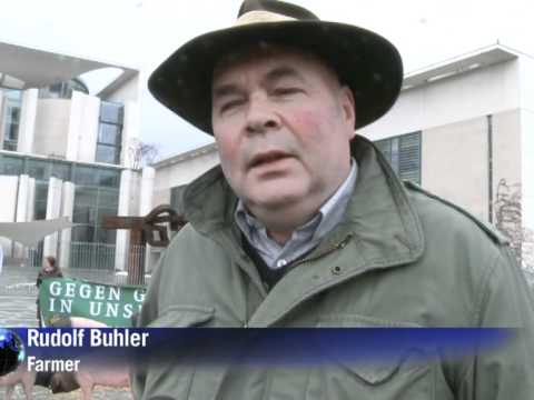 German farmers take pigs to dioxin protest