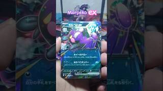 Morpeko ex #pokemon #pokemoncards #pokemontcg #abysseye #pitchblack