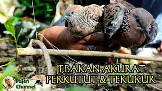 Download lagu Turtles And Turtles Accurate Trap mp3