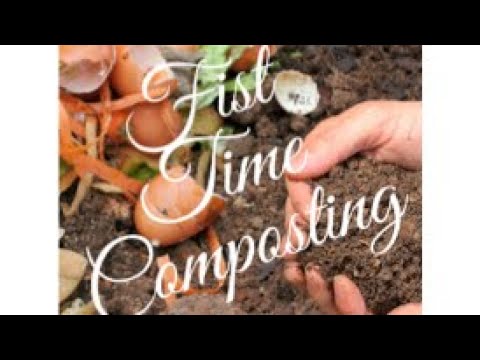First Time Composting With Worms