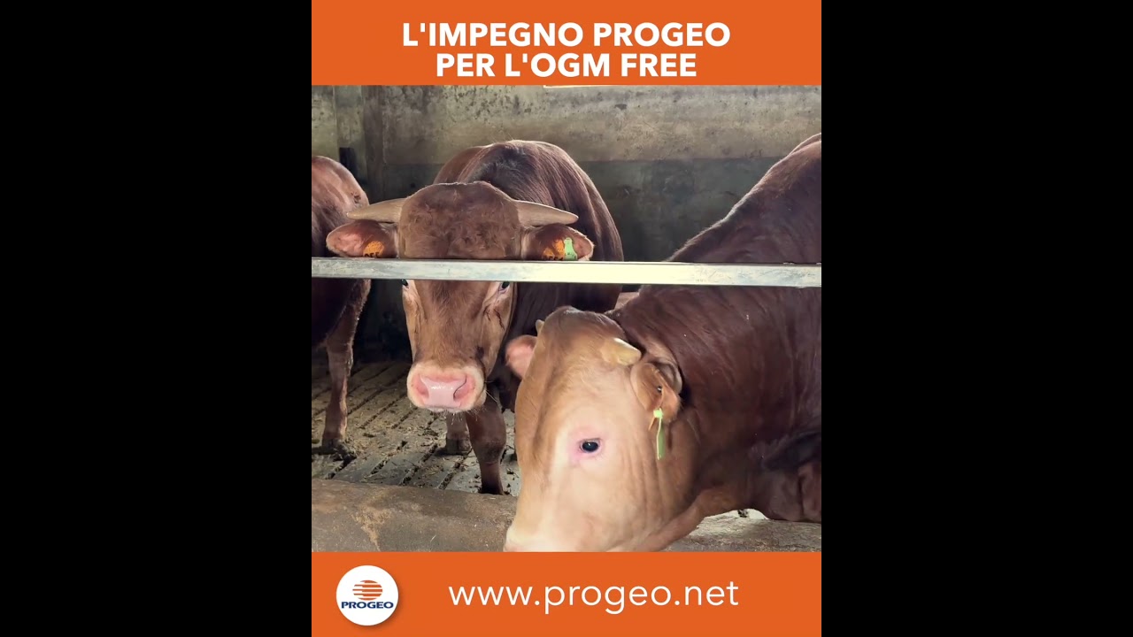 L'impegno PROGEO per l'OGM free
