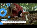 Iets meenemen uit het bos, mag dat eigenlijk wel?