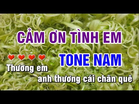 Karaoke Cảm Ơn Tình Em - Tone Nam - Nhạc Sống Như Trần