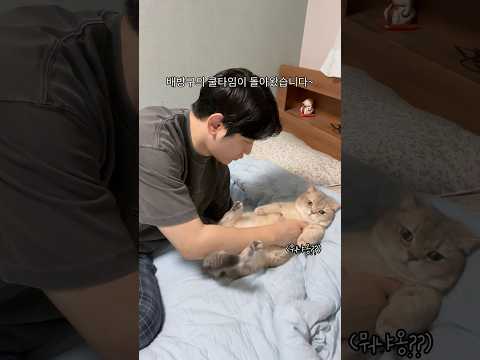 돌아온 배방구 쿨타임