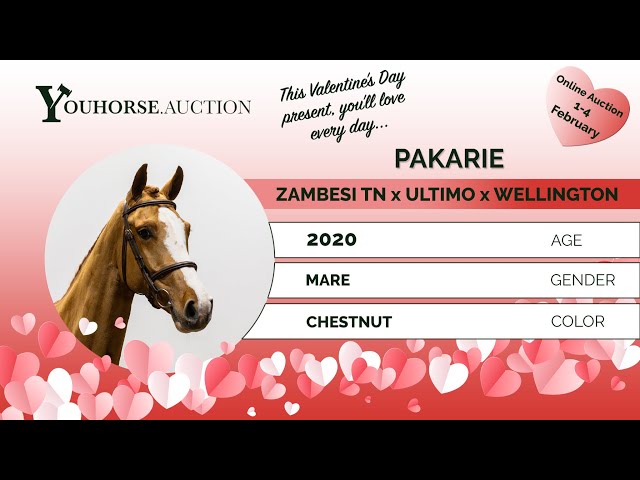 Pakarie