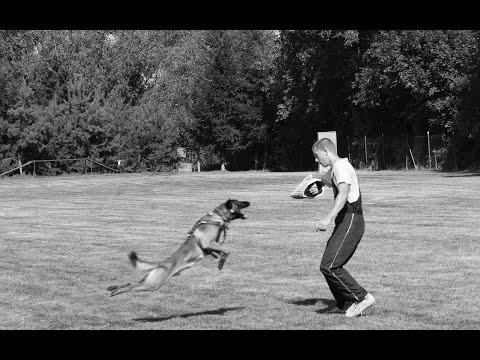 Uragan Extra Temperament - long attacks 10 months