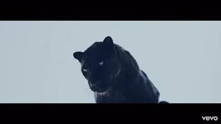 The Weeknd - Hurt you ( official vidéo )