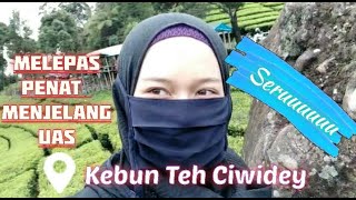 Download lagu Penyejuk Mata dan Hati // Indahnya Kuasa Illahi mp3