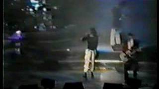 Wild Life Largo MD-Inxs