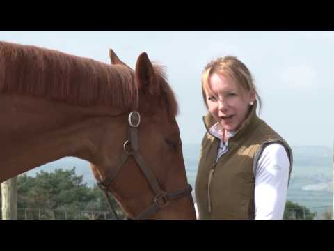 Blue Chip All Star Audition - Kelly Jewell