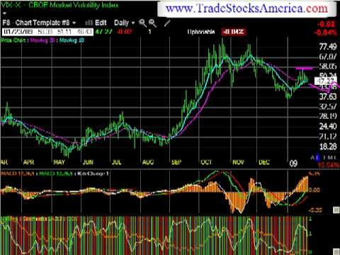 January 25th Daily Stock Report with Stock Picks