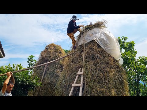 Delicious Albanian Pie After Harvesting and Storing Grass From Our Fields
