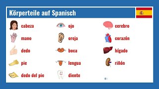 Körperteile auf Spanisch