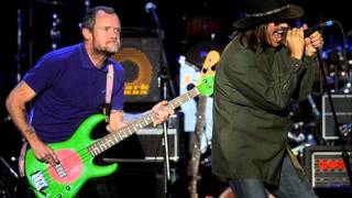 Red Hot Chili Peppers   Love of Your Life