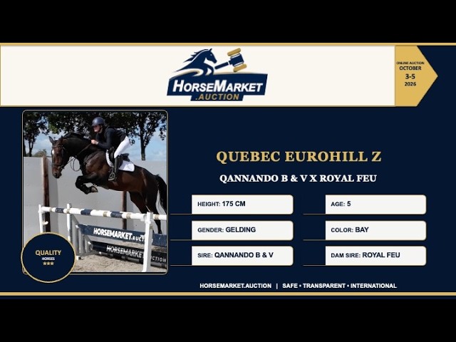 Quebec Eurohill Z
