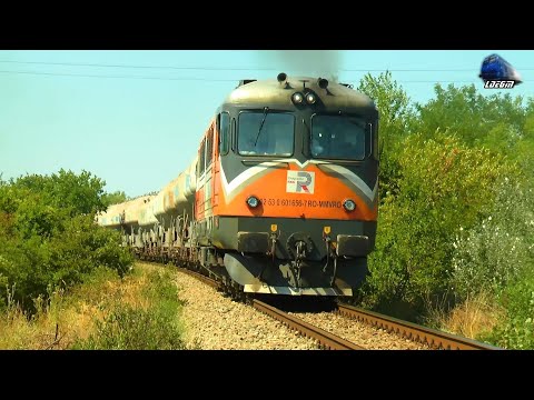 🚂LDE2100 60-1656-7 & Marfar cu ”Oițe” MMV Rail ”Sheep” Freight Train in Biharia - 12 August 2021