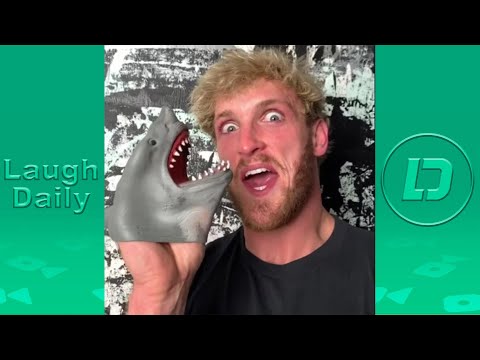 BEST  Shark Puppet TikTok Compilation 2020 | All Shark Puppet Funny Videos