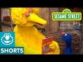 Sesame Street Celebrate Big Bird S Birthday Give The Gift Of Education