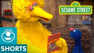 Sesame Street: Celebrate Big Bird&#39;s Birthday | Give the Gift of Education