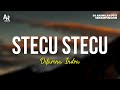 Stecu Stecu Difarina Indra LIRIK ADELLA