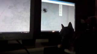 confusing brian blessed with a digital spider