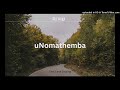 Dj Vigi UNomathemba Intrumental